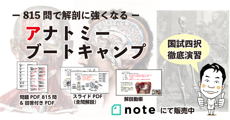 楽天ランキング1位 クスコ ストラットバー Type Os 913 540 Am フロント トヨタ カムリ Acv30 2az Fe Ff 2400cc 01年09月 06年01月 激安単価で Www Cemerj Com